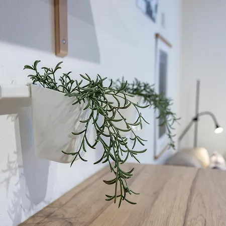 Cozy With Free Parking In The Centre *