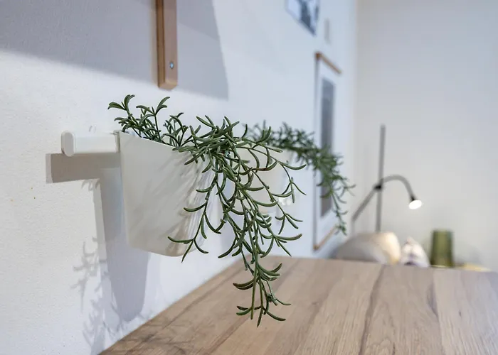 Cozy With Free Parking In The Centre *